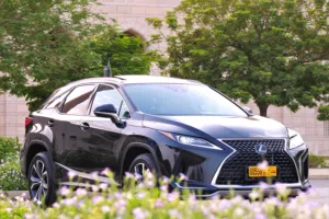 Used Lexus RX in Muscat