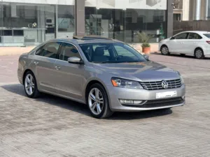 Volkswagen Passat 2014 (Grey)