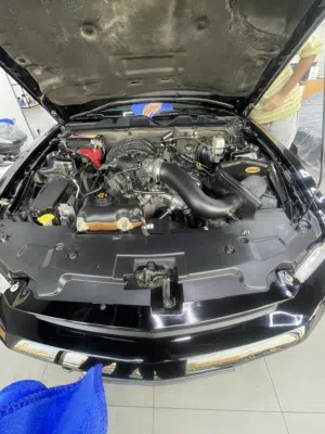 Used Ford Mustang in Abu Dhabi