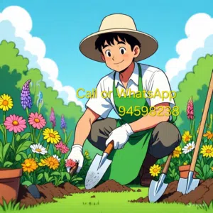 Gardener(Provide all kinds of Plants and tree services)