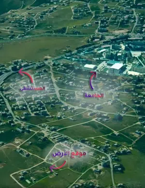 Residential Land for Sale in Tafila Al-Ayes