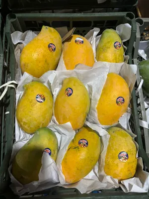 Vegetable & Fruit0