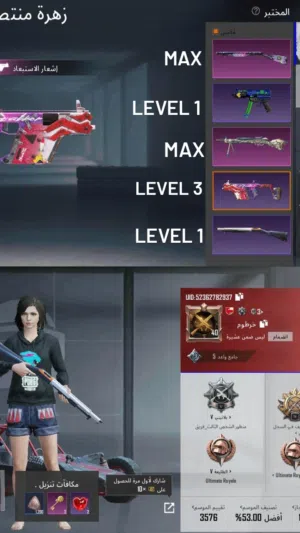 Pubg Accounts and Characters for Sale in Al Dhahirah