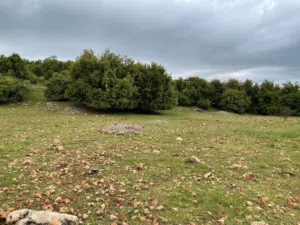 Mixed Use Land for Sale in Ajloun Other