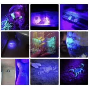 كاشف العمله النقود المزوره و العقارب شحن كشاف UV ضوء فوق البنفسجي بيل متعدد الاستخدام محمول كشف عمله