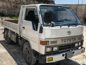 قلاب اللبيع أصلي