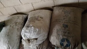 نفيعة للبيع في بدبد نفعاء