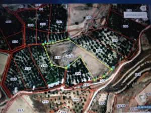 Farm Land for Sale in Ajloun Kuforanja