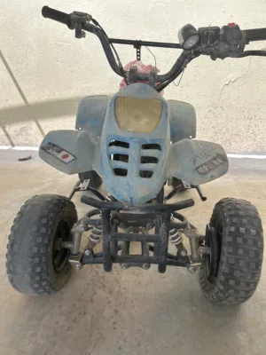 دباب جبلي 2020