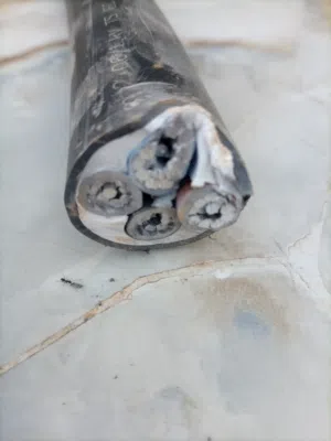 كبل 4 × 50