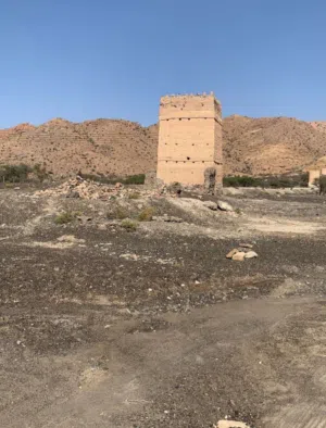 للبيع أرض زراعية في بدبد