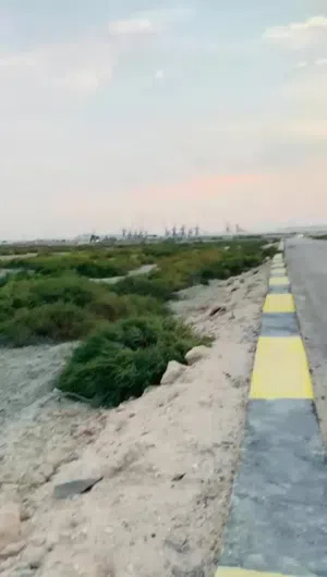 Farm Land for Sale in Basra Shatt Al-Arab