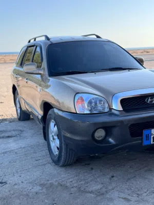 سنتافي جولد 2004 كرت
