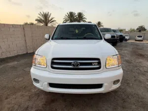 سيكويا جمرك درجه اولى