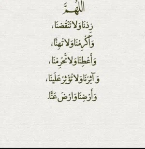 مونتي تكنولوجي 