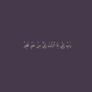 noor awwad