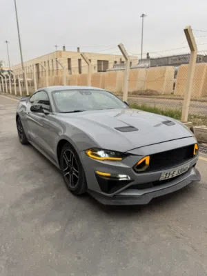 Used Ford Mustang in Baghdad