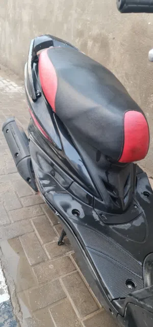 سكنس فحل يابني