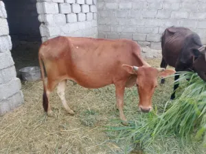 22.6.2026غعهغفف مرحبا فللب