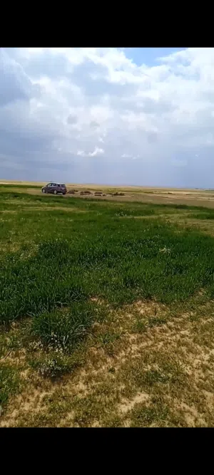 Farm Land for Sale in Amman Al-Quneitirah