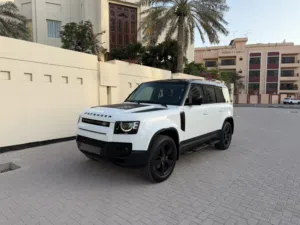 Defnder P300 110 2022