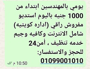 Furnished Daily in Giza Mohandessin