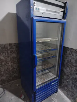عارضات اثنين للبيع