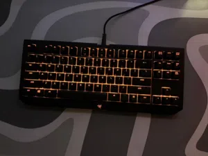 Razer blackwidow TE chroma v2