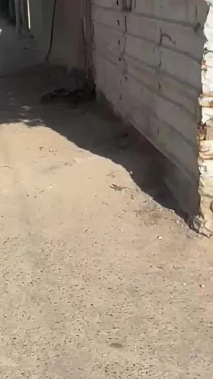 قطعه ارض ركن بمحيله
