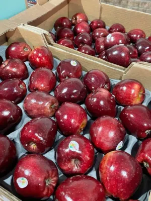 Fresh Fruits & Vegetables Export from Iran