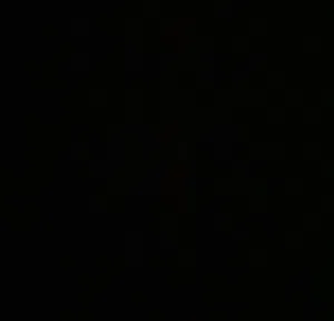 مفتاح محمد 