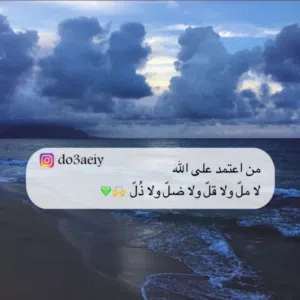 الصقر الجنوبي 