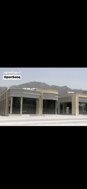 فرصة استثمارية مميزة في الأنصب