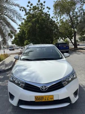 AhmedAhmed