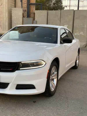 New Dodge Charger in Basra