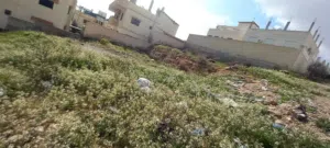 ارض للبيع في شومر(الزرقاء)