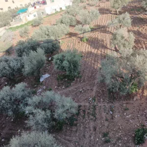Residential Land for Sale in Salt Ein Al-Basha