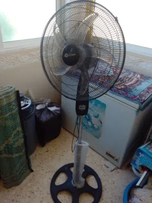 الزرقاء /الهاشمية