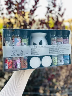 المنزل والحديقة أخرى2