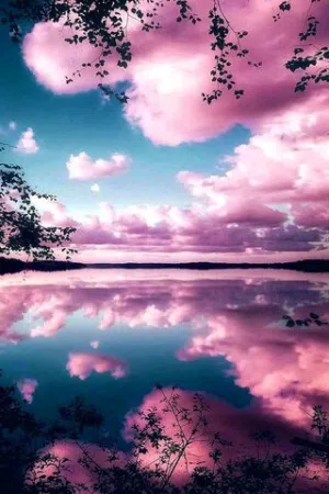 تبارك الرحمن 