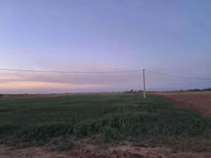 ارض فلاحية جيدة جدا فيها الماء والكهرباء والغاز قريب مش بعيدة على طريق موقع ممتاز