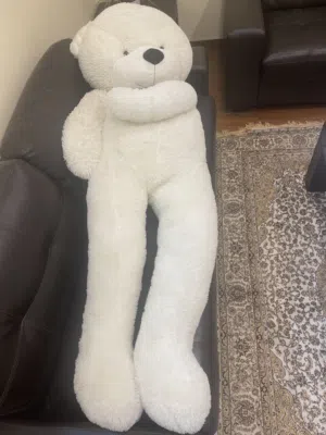 Teddy Bear