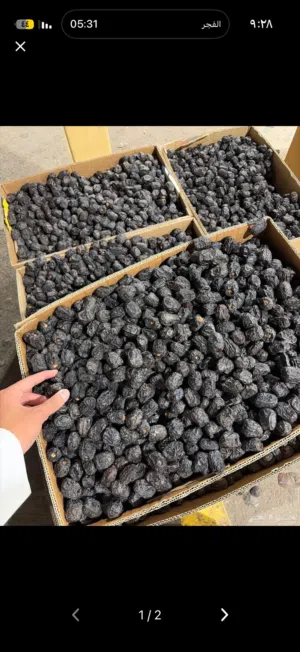 تمره المدينه عجوه