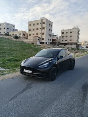 تيسلا مودل Y شبه زيرو