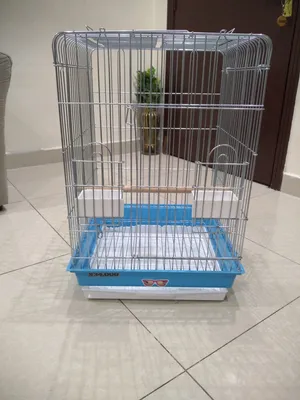 ‏إكسسوارات ‏.‏ طيور ودواجن‏0