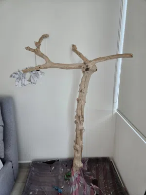 Premium Parrot Stand for Large Birds For Sale