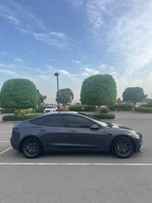 Used Tesla Model 3 in Muscat
