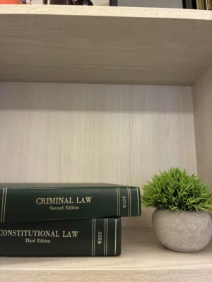 Hornbook Law Books for Sale