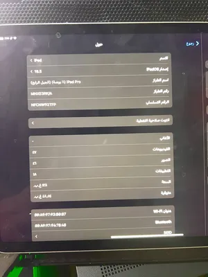 Apple . iPad Pro . 256 GB0