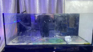 حوض سمك و مرجان بحري